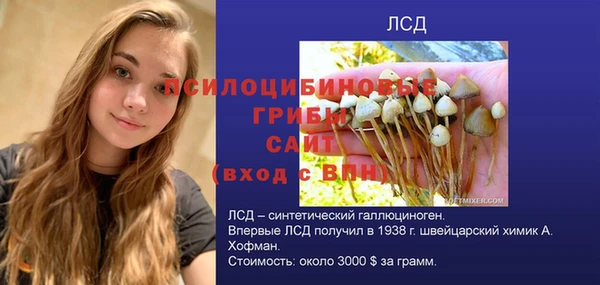 apvp Абаза