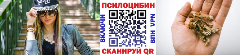 где купить наркоту  Ростов-на-Дону  Псилоцибиновые грибы мицелий 