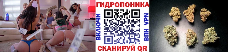 МЕГА как зайти  закладка  Ростов-на-Дону  Каннабис индика 